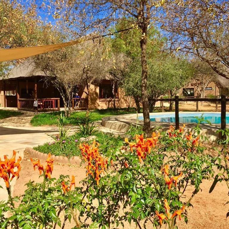 Golden Impalas Bush Resort Hammanskraal Zewnętrze zdjęcie